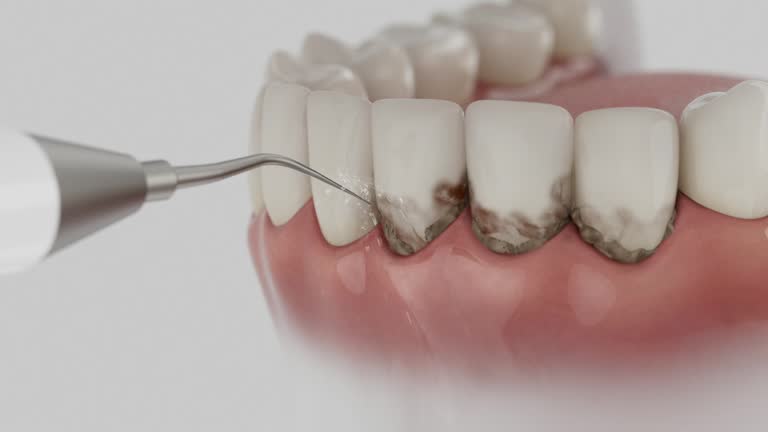 Reliable Dental contractor in Canal Fulton, OH by Dentist Open Now